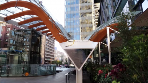 Wind Sun Sky, Sandi Gisbert, Portfolio, Producer, Production Manager, Animation, Vancouver, BC, Film Industry, Television Industry, Writer